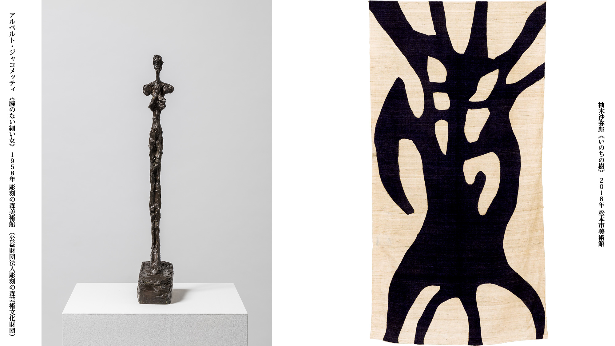 鴻池朋子《皮緞帳》 2015年 高橋龍太郎コレクション 撮影：中道淳（ナカサ＆パートナーズ） © Tomoko Konoike